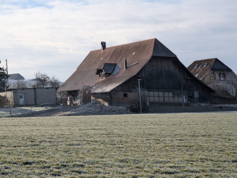 PXL_20260122_092632234