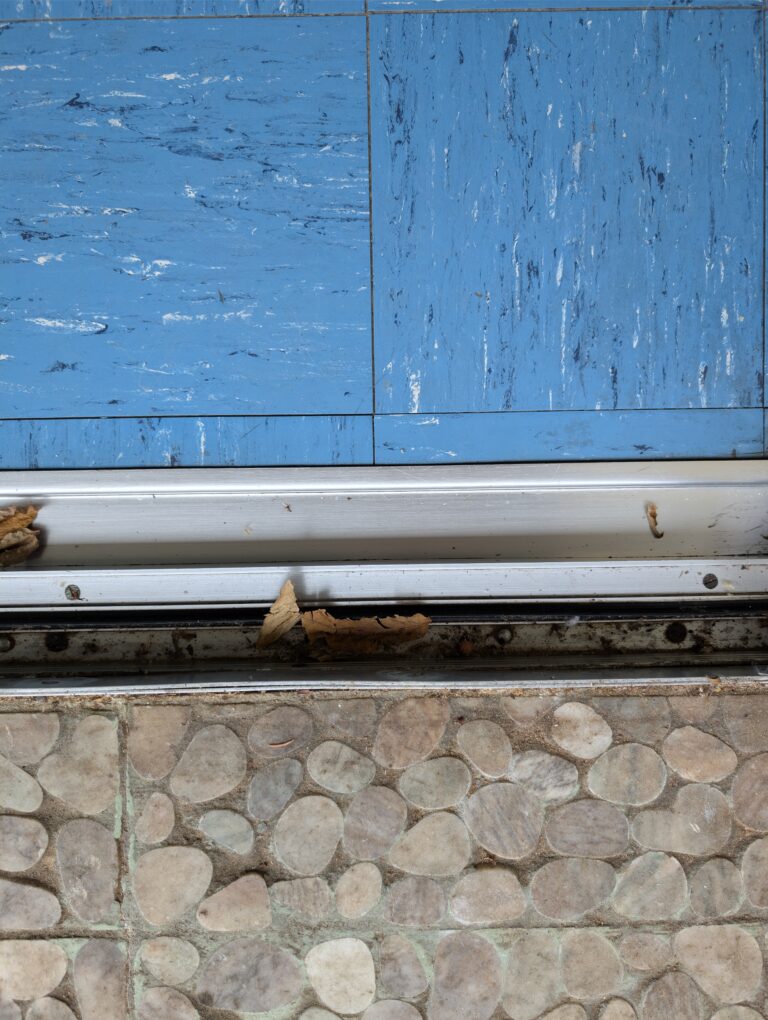 PXL_20260220_094528489