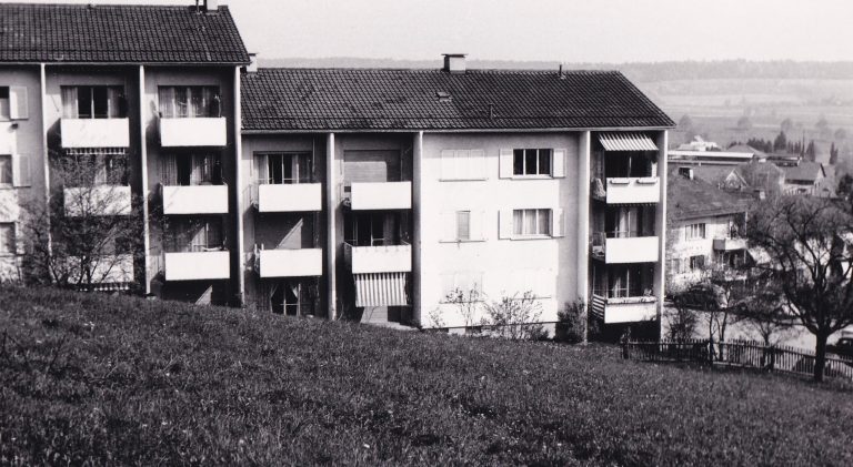 IMGb_0007