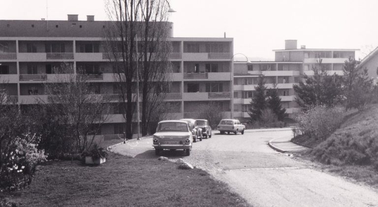 IMGb_0012